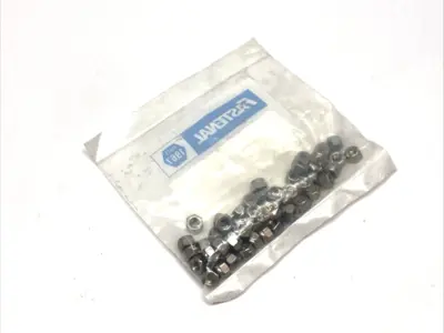 New | in-Stock Fastenal Nylon Insert Lock Nut Stainless Steel 1/4"-20 PACK OF 50 Nuts & Screws Michigan US | Maverick Industrial Sales #1487414