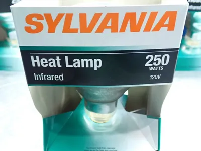 NEW SYLVANIA 250BR40/RP