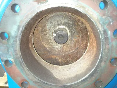 USED Goulds 3175