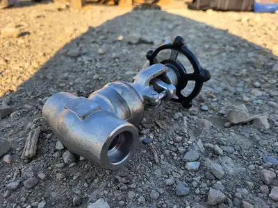 3/4" Class 800 Gate Valve API 602