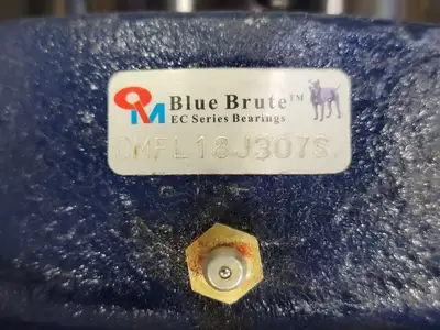 NEW BLUE BRUTE QMFL18J307S
