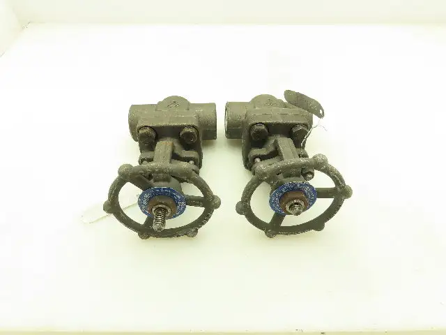 DSI 4101A5-18 Steel 1" NPT Threaded x Socket Gate Valve 1990 PSI #800  LOT OF 2
