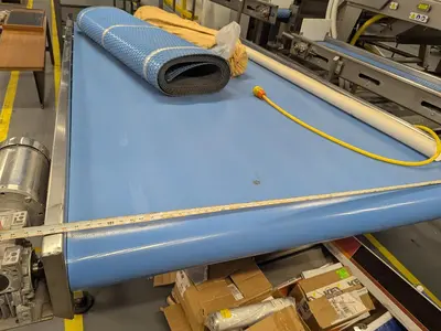 64''W Sorting Conveyor