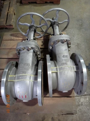 Takamisawa 12", Class 150, CF8, Gate Valve