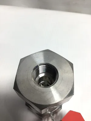 Hoke CVHF6H14S Hastlelloy C-276 Check Valve Stainless Steel