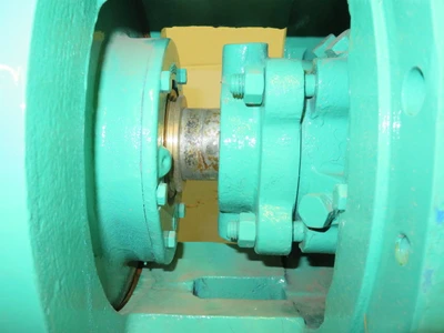USED Goulds 3175S