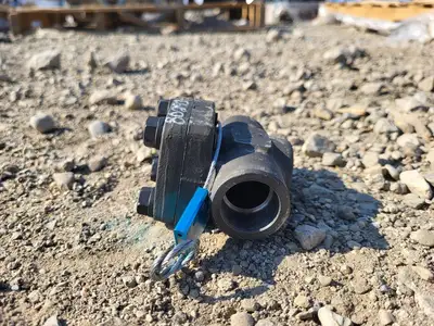 3/4" Class 800 Check Valve B16.34