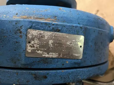 Used GOULDS 3196 Pumps Ohio US | Surplus Asset Holdings #1235197