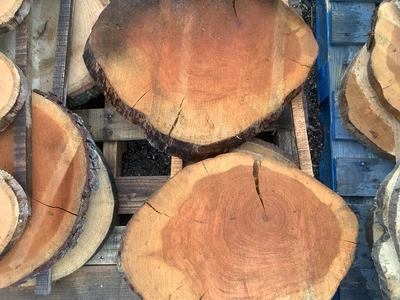 Used _UNKNOWN_ _UNKNOWN_ Miscellaneous Woodworking Equipment Michigan US | Miedema Asset Management Group #1414870