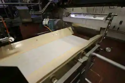 34 " wide ss conveyor