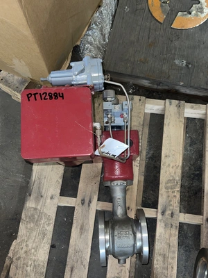 USED Masoneilan Camflex II