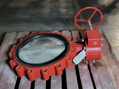 22" Butterfly Valve
