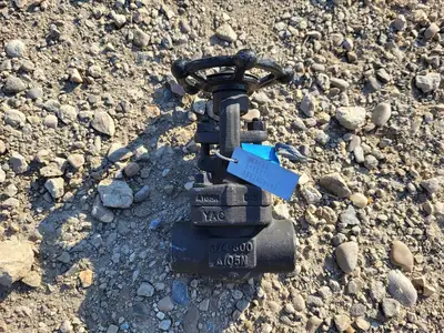 3/4" Class 800 Gate Valve API 602