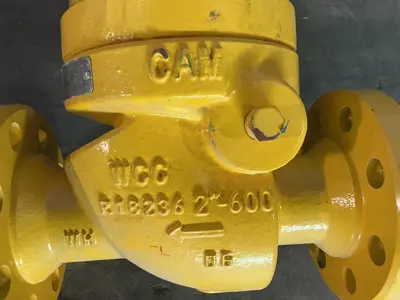Used CAMERON 510/511 Pumps Ohio US | HGR 24 #1310997