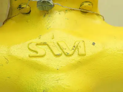 SWI A105N Steel Gate Check Valve 1" Flanged Raised Face Class 300# Monel Spiral