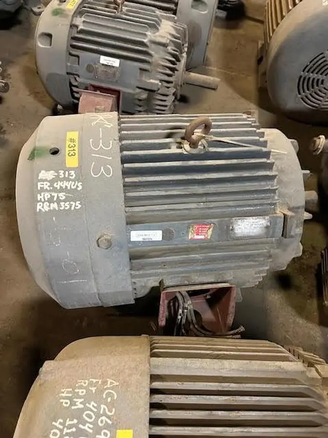 USED RELIANCE SQUIRREL CAGE