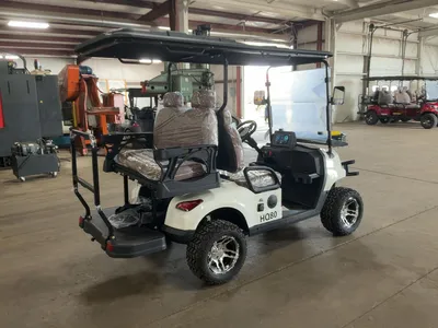Used 2026 SDLANCH HQ80 Golf Carts Michigan US | Miedema Asset Management Group #1334665