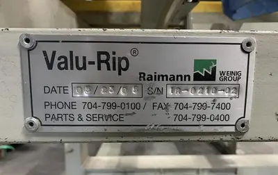RAIMANN VALUE RIP IV, GANG RIPSAW INFEED SYSTEM