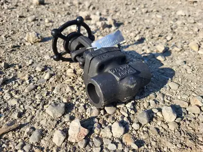 3/4" Class 800 Gate Valve API 602
