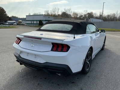 Used 2024 FORD MUSTANG Cars Michigan US | Miedema Asset Management Group #1579884