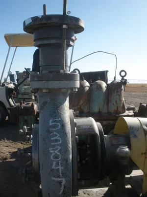 USED GOULDS 3196