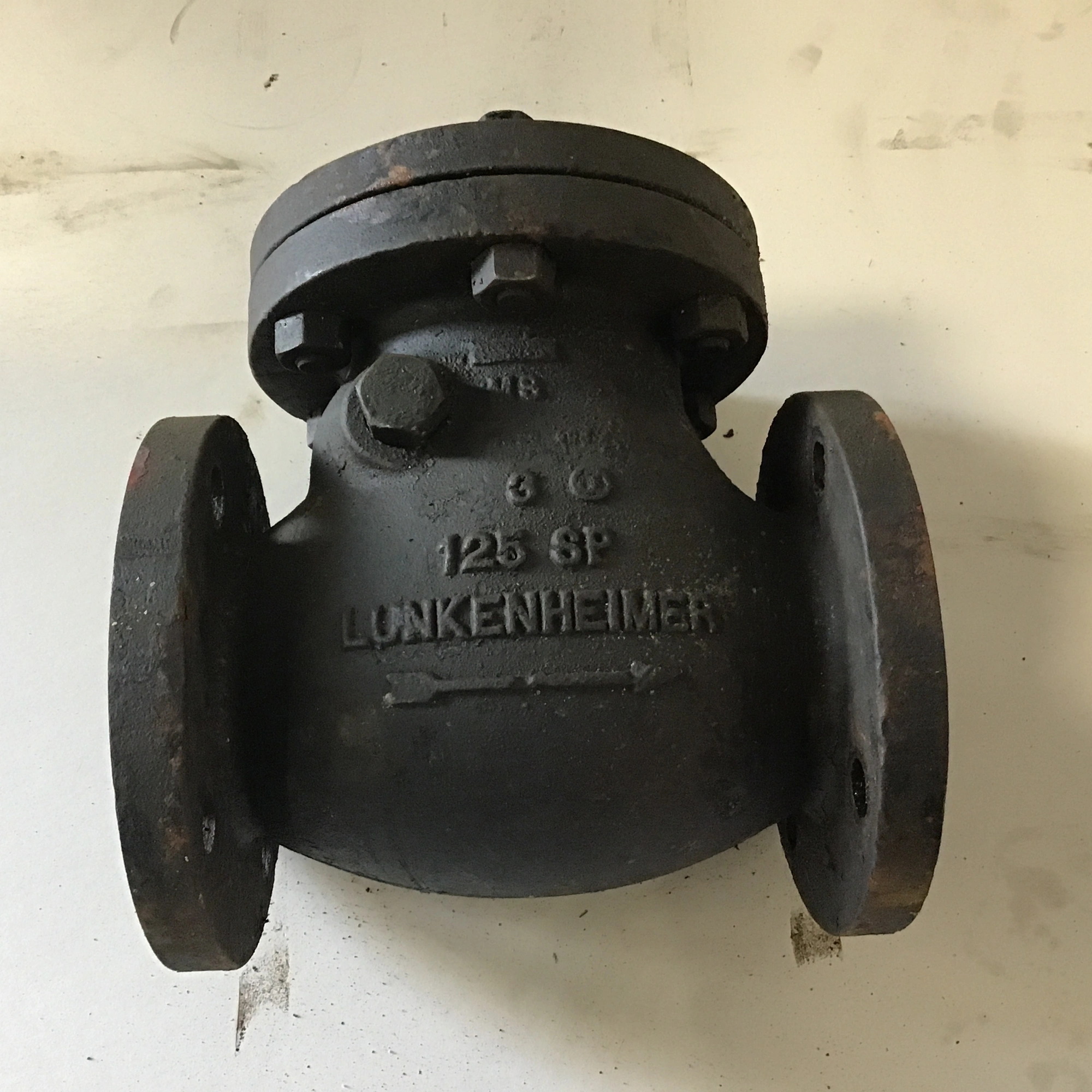 Lunkenheimer 125 SP Swing Check Valve 3″ Backflow Preventer
