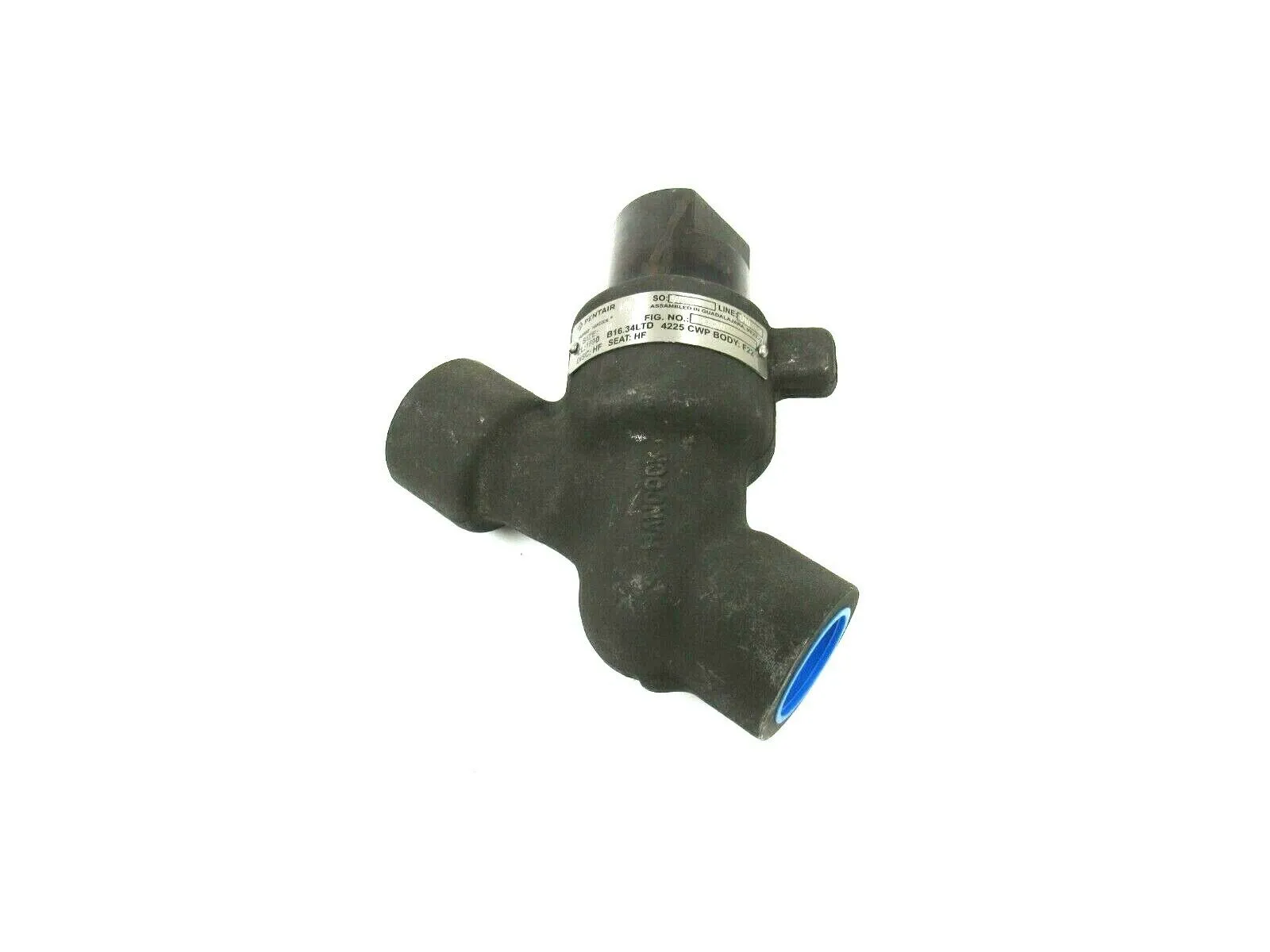NEW PENTAIR 4082W-F22 CHECK VALVE 1" 54082W1CP 1690 4082WF22