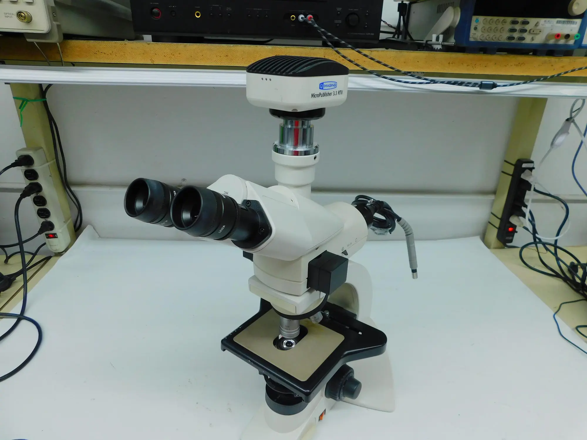 Used LEICA DM1000 Miscellaneous Laboratory Equipment Texas US | Aucto #1453333