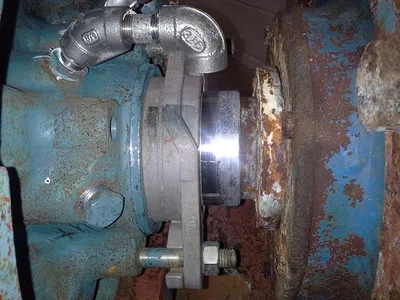 USED Goulds 3175
