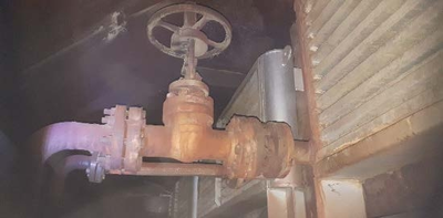 Fezer Wood Veneer Screen Dryer, Infeed and Outfeed
