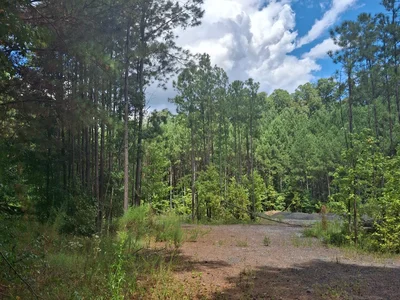 Used _UNKNOWN_ _UNKNOWN_ Estate & Personal Property Georgia US | Auction Management Corporation #1548669