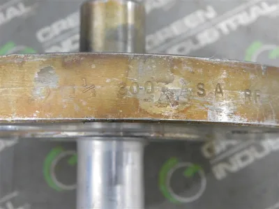 Unbranded 15in Thermowell 6.185in Flange CL300 3/4in NPT Used