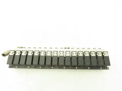 Pneumax OMRB213 Pneumatic Air Manifold Assembly 16 Valves 24vdc 145psi