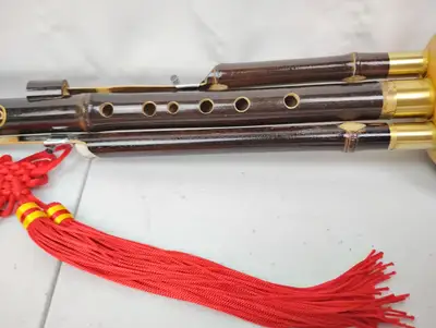 New | in-Stock L'MS _UNKNOWN_ Musical Instruments & Supplies Texas US | Sporadic Surplus LLC #1710843