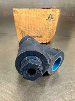 Armstrong DN 32 PN 16 1-1/4" NPT 250 Y-Strainer Valve (6D-12)