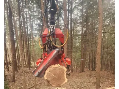 2016 TIMBERPRO TF830C FORWARDER | Iron Listing (4)