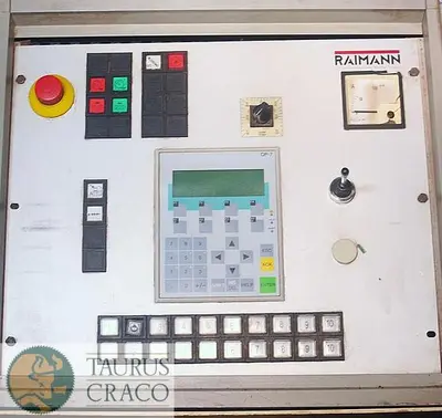 USED 2001 RAIMANN VARIORIP KM 310 BV GANG RIP SAW