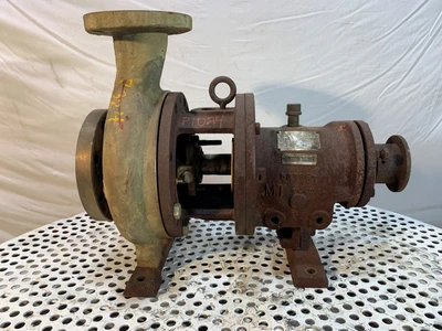USED GOULDS 3196MT