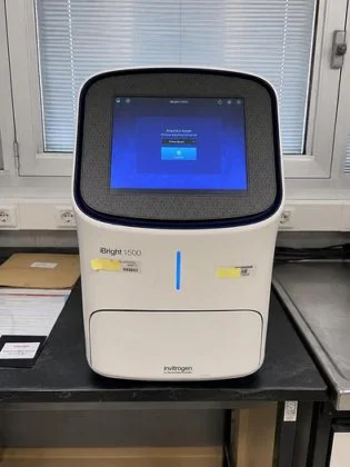 Used LI-COR ODYSSEY CLX IMAGING SYSTEM Imaging Systems / Molecular Imagers New Jersey US | Bionex Scientific LLC #1341182