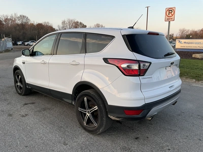 Used 2017 FORD ESCAPE Utility Vehicles Michigan US | Miedema Asset Management Group #1732719