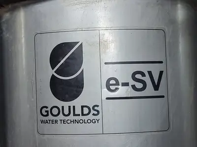 USED GOULDS 46SV40GN4F20