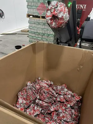 New | in-Stock 2026 RUNI SK240 SYSTEM FOR DEWATERING - MILD STEEL Trash Compactors Illinois US | Black River Trading #1303600