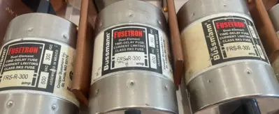 NEW BUSSMANN FRS-R-300 TIME DELAY FUSES FRSR300 LOT OF 14