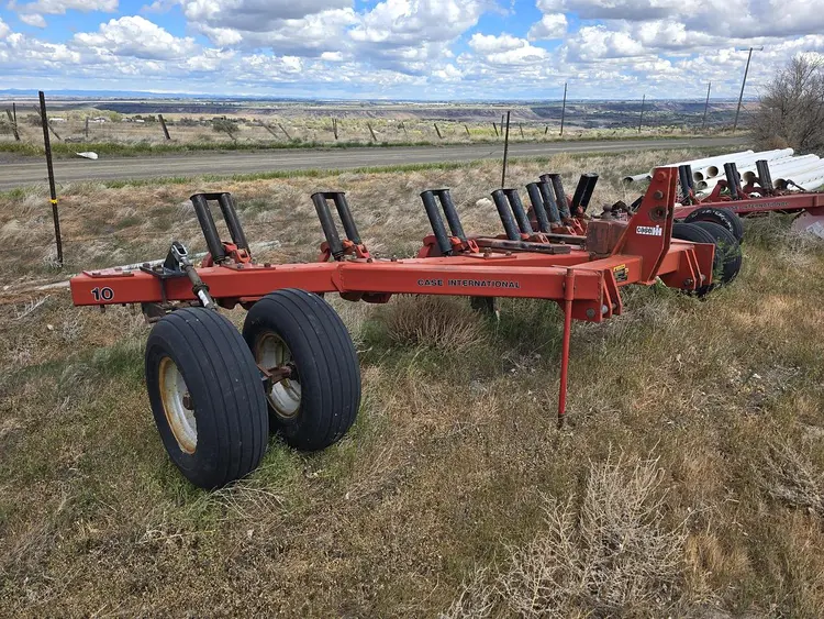 Used CASE IH 10 Ripper/Stripper Idaho US | Berry Machinery #925788
