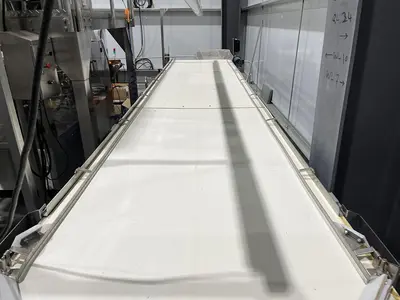 19ft Inspection Conveyor