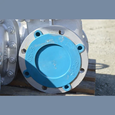 DSI 6 in. Gate Valves