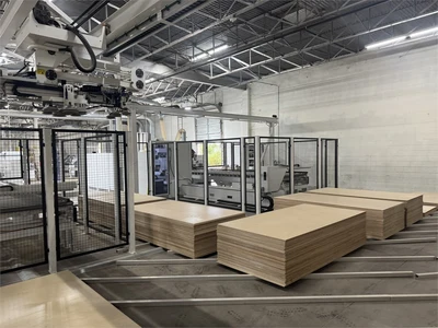 Used 2023 HOMAG "STORETEQ S-200 PROFILINE" Automated Magazine-Storage Texas US | MachineryMax #1488428