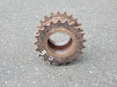 Roller Chain Sprocket DS100C21, Double Single