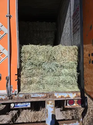 USED 2001 WABASH 53'