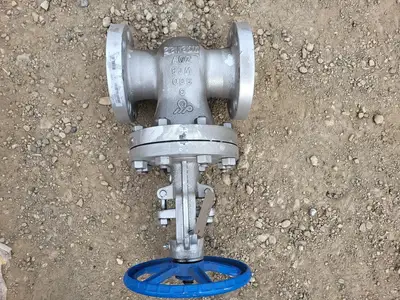 3" Class 300 Gate Valve API600/624